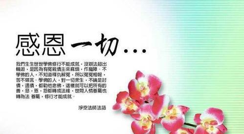 感恩贺卡语句（感恩节贺卡祝福——用文字传递温馨祝福）