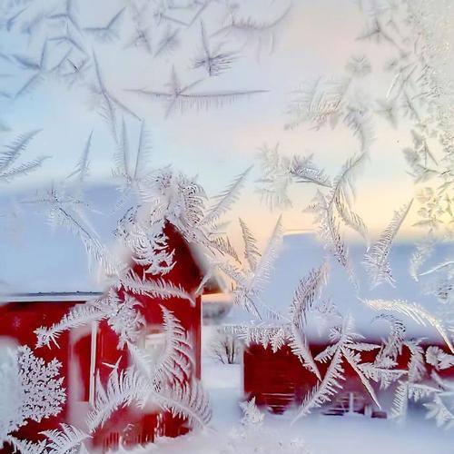 下雪经典语录抖音（雪落人间，美如抖音）