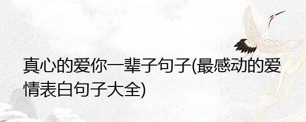 有关感动并不是爱情的句子的好句子摘抄（感动并不是爱情）