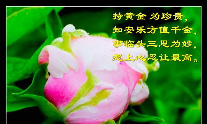 改变人生的40句金句（25个经典名言，深入探究）