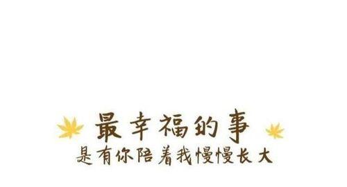 有关父亲节文艺句子113条的句子怎么写（《父亲节的柔情》）
