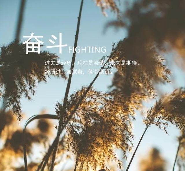 2024发朋友圈早安的句子（2023早安暖心话，点亮美好生活）