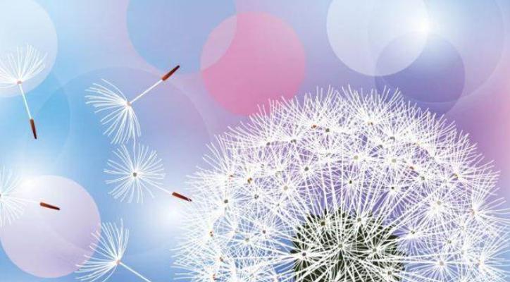 12月的最后一天感言说说（岁月如歌，时光难留——2024年的尾声感慨）