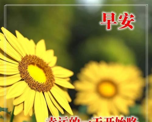 2024年早安的句子（唯美短句，写就全新早安）