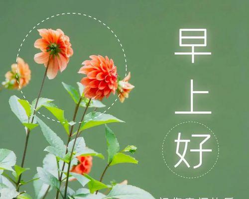 2024年早安的句子（唯美短句，写就全新早安）