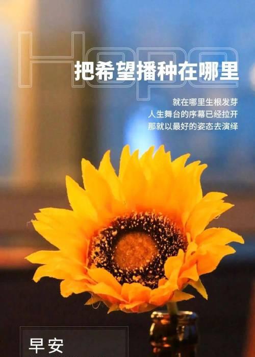 11月早安语录（迎接全新11月的清晨）