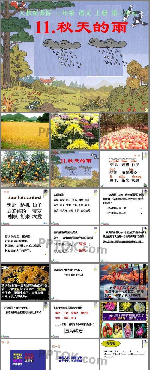 有关2024秋天的雨仿写句子的短句一年级（25句唯美长句，带你领略雨后的诗意）
