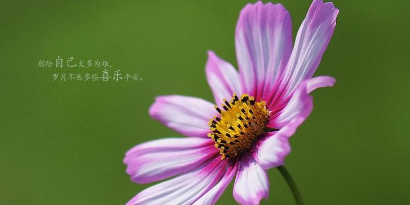 你好九月说说2024最新版经典（《全新九月你好，2023》）