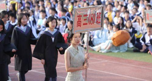 秋季运动会宣传栏（飞跃2024）