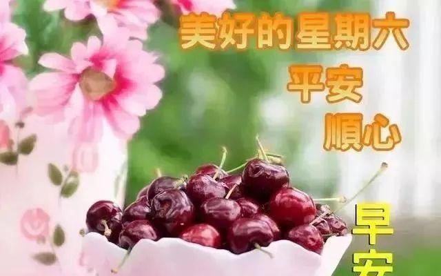 2024秋分节气微信说说祝福语（25句唯美问候与关心话送给你）