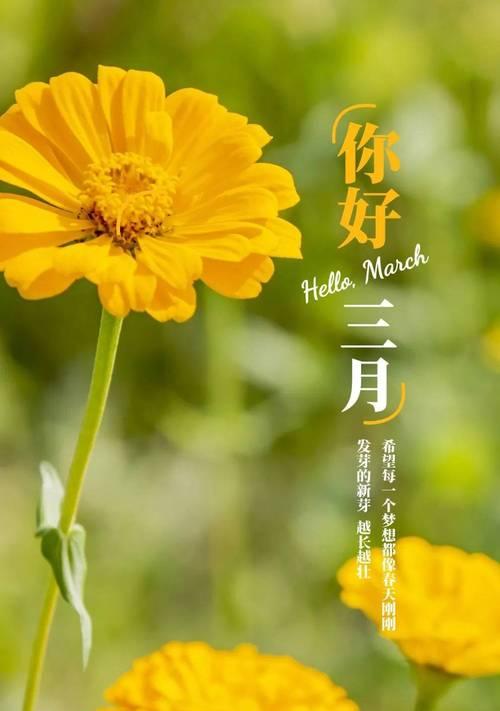 三月好心情的句子（三月你好，心情好）