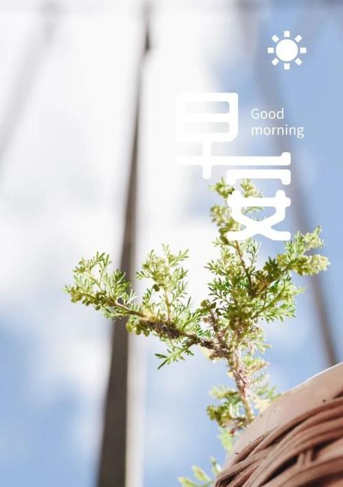 三月适合朋友圈的句子（唯美语录，短句留香）