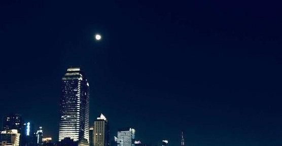 深夜失眠感悟句子（失眠，成为我的伴侣）