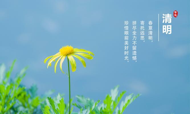 清明节缅怀的简短说说（唯美句子，唤醒记忆）