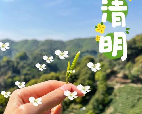 清明思念的话语（用短句表达对逝去亲友的思念之情）