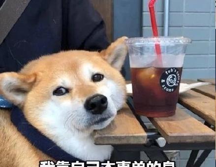2027年的说说（爱的花语——2024七夕微信朋友圈说说八十句）