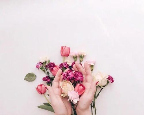 2024情人新年祝福语（七夕情人祝福语——那一天，让我们相依相伴）