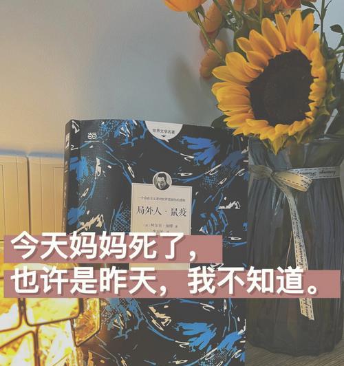 局外人短句（探寻人生真谛）