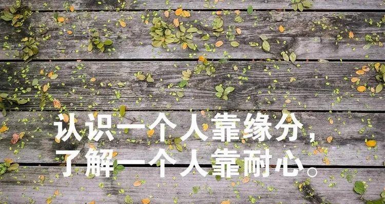 朋友圈心情说说大全（爱的力量）