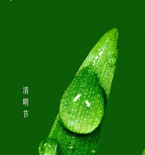 有关四月四号清明节祝福语的句子有哪些（怀念过去）