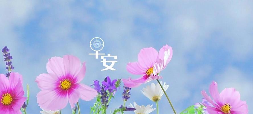 早安给女朋友情话最暖心短句（从清晨开始的爱情）