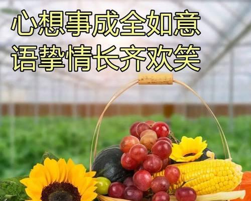 早安给女朋友情话最暖心短句（从清晨开始的爱情）