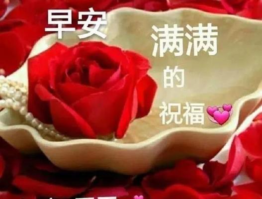早安暖心问候语短句（心灵暖阳——周一早安唯美问候语）