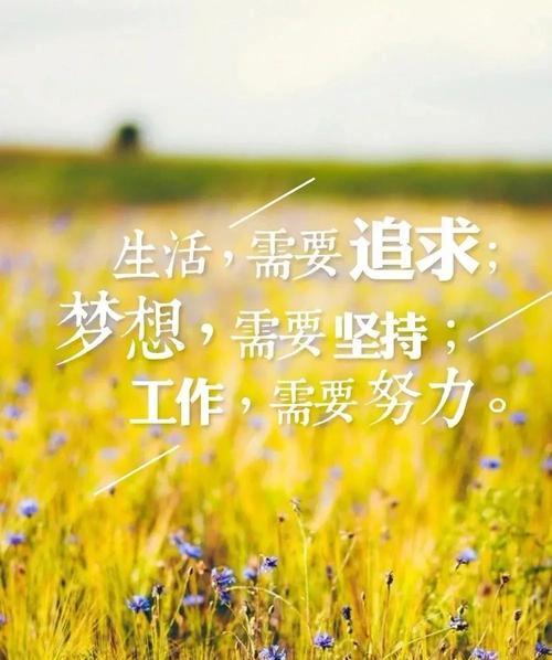2024正能量奋斗的语录（《正能量，奋斗不止》）