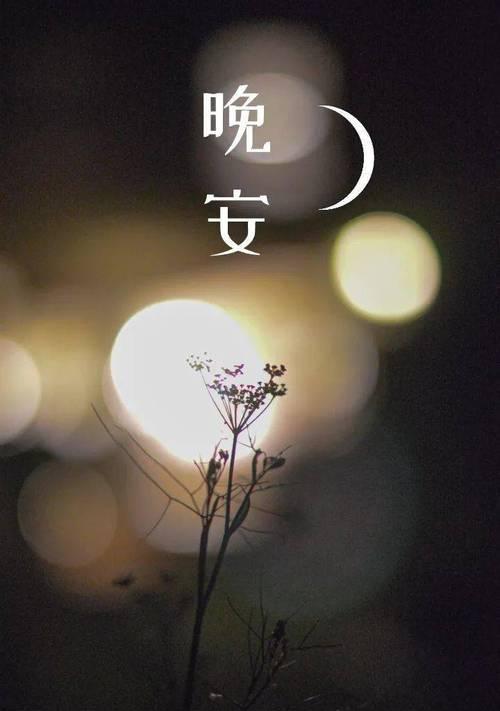 晚安的感动句子（夜未央，心已归）
