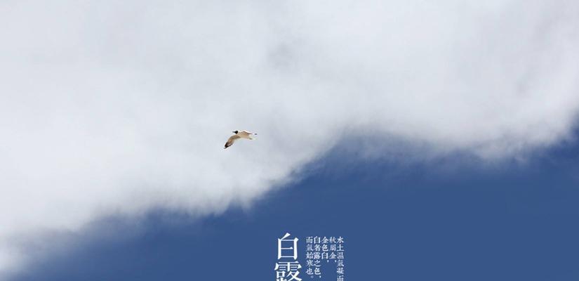 白露节气短句（迷人的秋意，如画一般的世界）