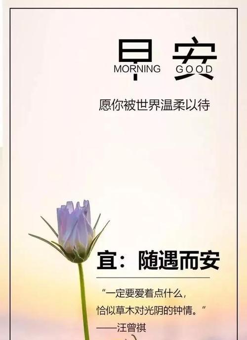 爱心公益的说说（爱心公益，绽放正能量）