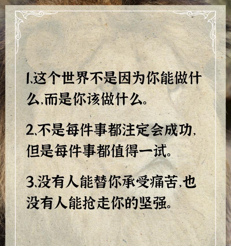 表示坚持不放弃的句子（用唯美短句感悟生命）