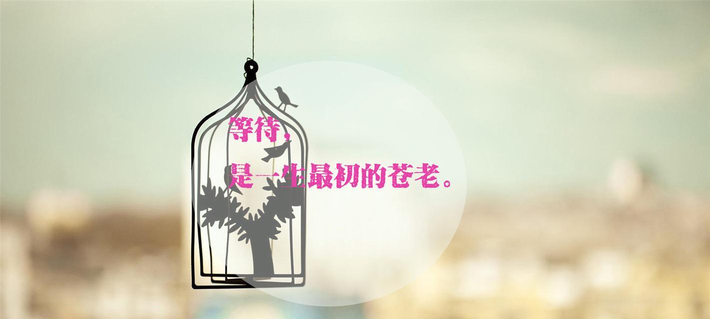 有关工作认真的经典唯美句子的短句英语（工作认真，心中有花开）