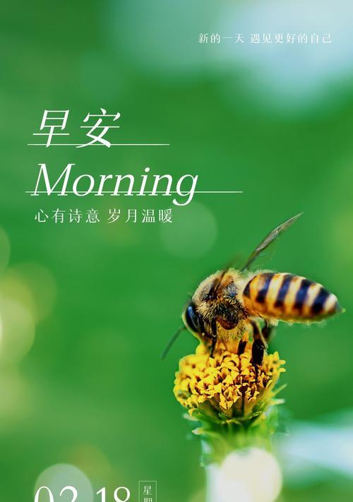 新一周的早安语句简短（让唯美的句子为你点亮新的一周）