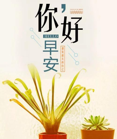 新一周的早安语句简短（让唯美的句子为你点亮新的一周）