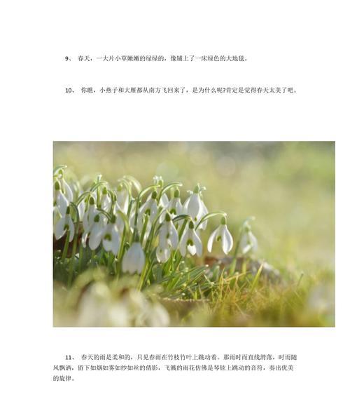 关于描写花的优美句子大全（一场关于自然之美的诗意演绎）