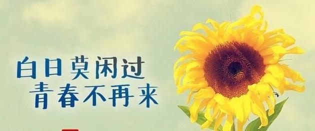 愿老人身体安康的句子（无尽祝福——以愿老人平安健康）