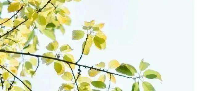 主动和被动的名言警句（用文字的力量，唤醒内心深处的情感）