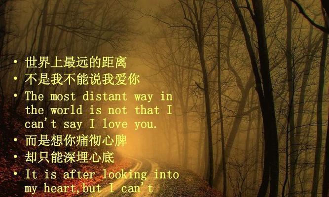 距离的作文（《以心与心的距离》）