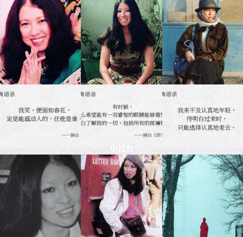 三毛经典作品的唯美句子（《三毛经典唯美句子》）