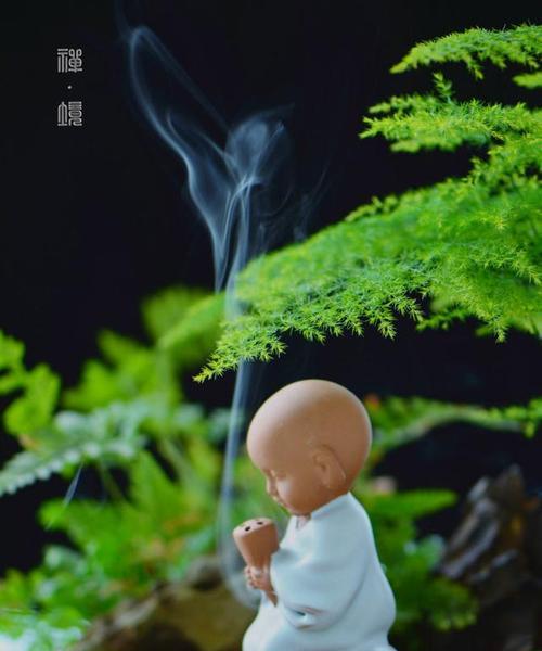有关禅语感悟人生的唯美句子的句子（禅语感悟人生的唯美句子）