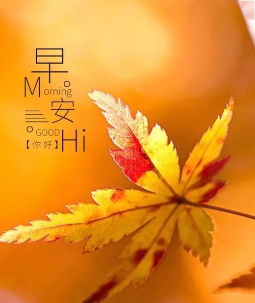 有关正能量的唯美句子经典语句的短句摘抄（传递正能量，拥抱美好生活）