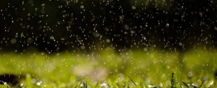 描写雨的绝美句子（雨，那场别样的相遇）