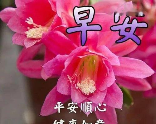 早上好的短句祝福（清晨暖心祝福）