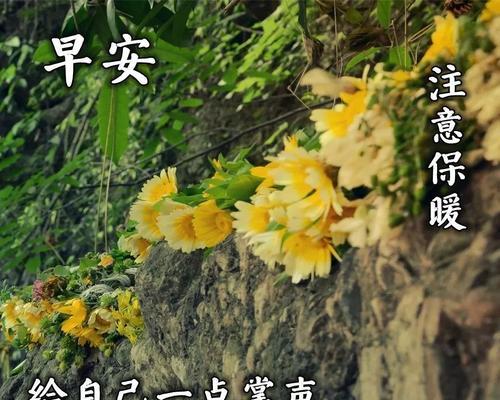 早上好的短句祝福（清晨暖心祝福）