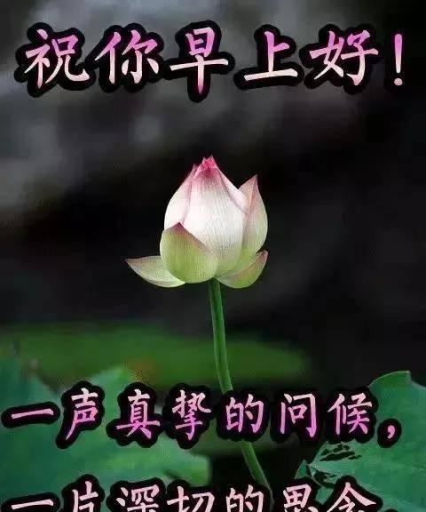 早上好的短句祝福（清晨暖心祝福）