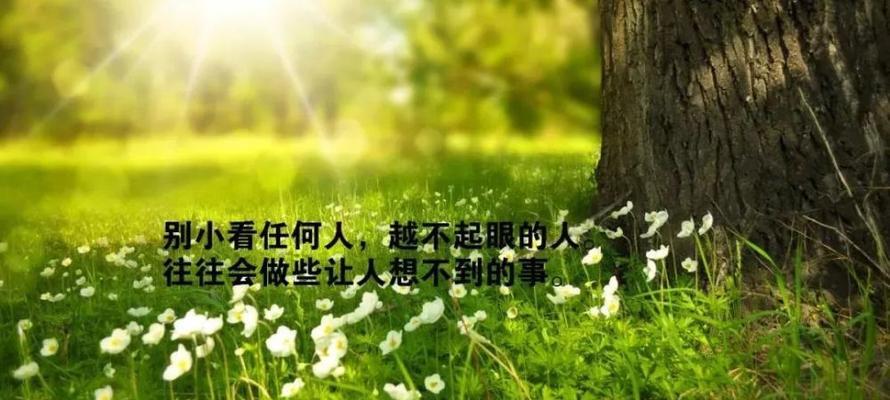 人生哲理的句子短语（探寻人生智慧）