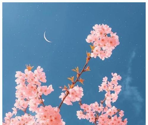 富含深刻含义的说说（文字之美）