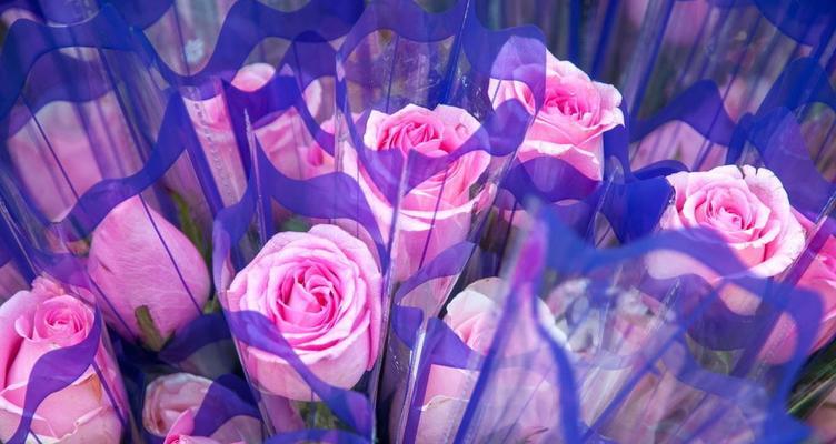 甜言蜜语的句子大全（芳心蜜语，甜言唯美）