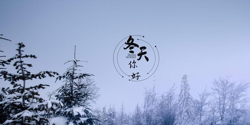 关于雪景的唯美句子10字（雪中精灵）